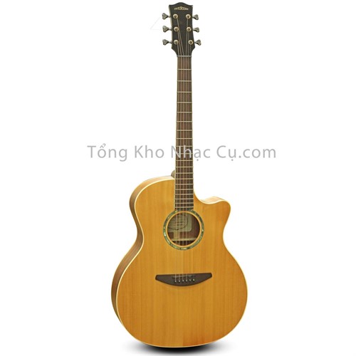 Đàn Guitar Acoustic Everest E50-HDM